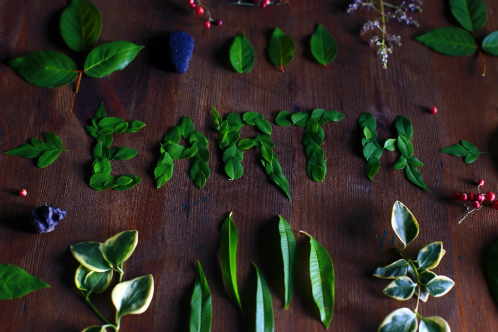 flatlay de feuilles fromant le mot earth