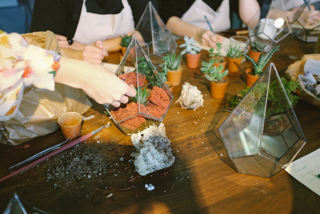 Un groupe participant à un atelier jardinage avec des succulentes